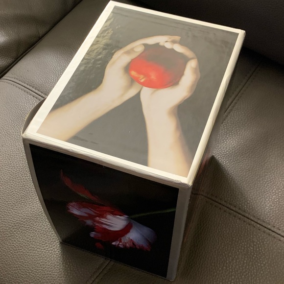 Twilight Saga | Collection Box Set with Bookmark | Stephenie Meyer - Picture 8 of 16